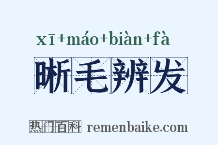 晰毛辨发是什么意思的图片